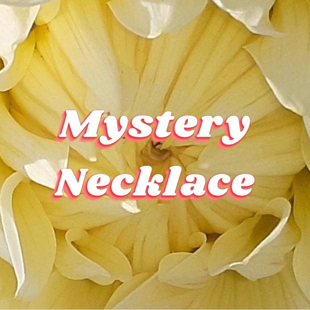 Mystery Necklace ~ A Jewelry Surprise shipped to your doorstep!